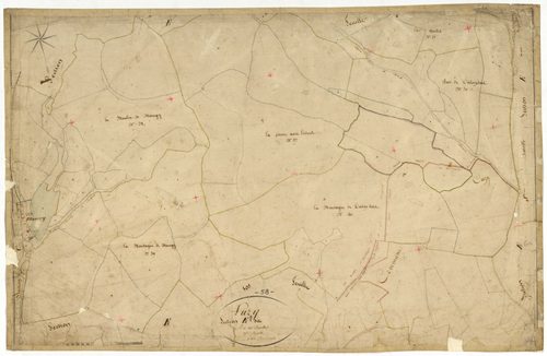 Luzy, cadastre ancien : plan parcellaire de la section E dite de la Chaise et des Baudins, feuille 9