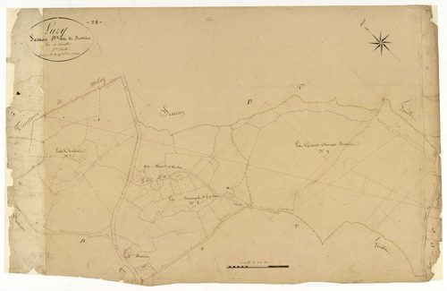 Luzy, cadastre ancien : plan parcellaire de la section D dite de Bussière, feuille 3