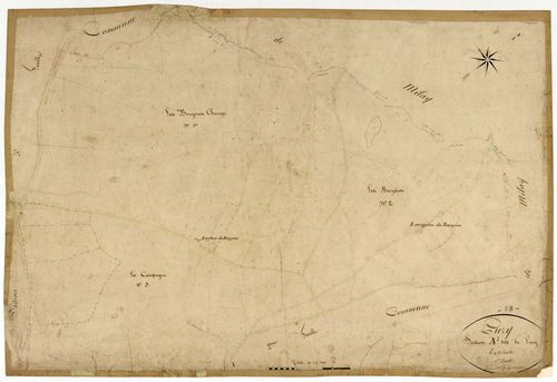 Luzy, cadastre ancien : plan parcellaire de la section A dite de Luzy, feuille 1