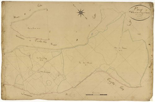 Luzy, cadastre ancien : plan parcellaire de la section B dite des Bois de Luzy et Saint-André, feuille 2
