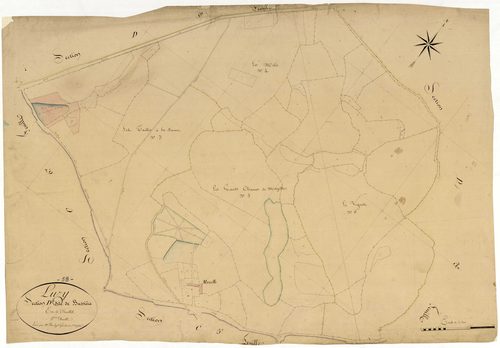Luzy, cadastre ancien : plan parcellaire de la section D dite de Bussière, feuille 2