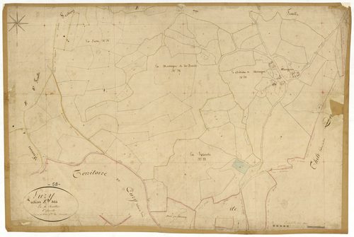 Luzy, cadastre ancien : plan parcellaire de la section E dite de la Chaise et des Baudins, feuille 8