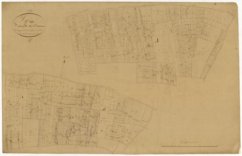 Lys, cadastre ancien : plan parcellaire de la section D dite de Ronneau, développement