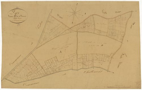 Lys, cadastre ancien : plan parcellaire de la section D dite de Ronneau