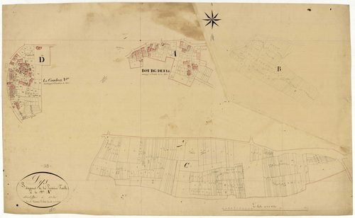 Lys, cadastre ancien : plan parcellaire de la section A dite de Lys, feuille 1, développement