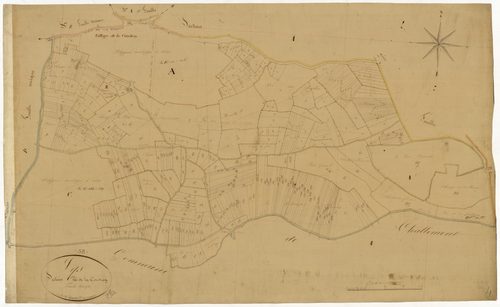 Lys, cadastre ancien : plan parcellaire de la section C dite de la Coudray