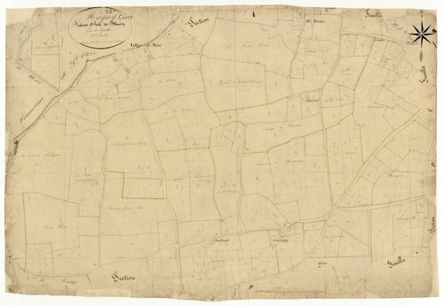 Magny-Cours, cadastre ancien : plan parcellaire de la section D dite du Blenay, feuille 3