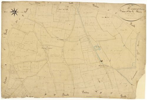Magny-Cours, cadastre ancien : plan parcellaire de la section D dite du Blenay, feuille 1