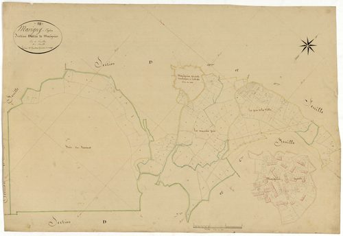 Marigny-l'Église, cadastre ancien : plan parcellaire de la section D dite de Mazignien, feuille 8