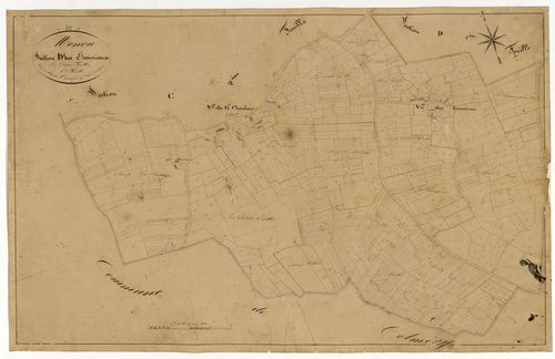 Menou, cadastre ancien : plan parcellaire de la section D dite des Ecourieux, feuille 2