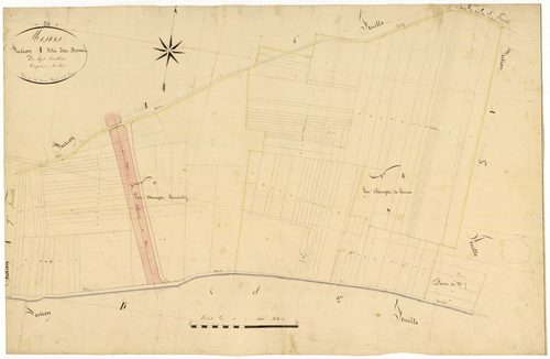 Mesves-sur-Loire, cadastre ancien : plan parcellaire de la section A dite des Brosses, feuille 5