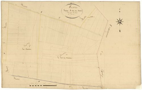 Mesves-sur-Loire, cadastre ancien : plan parcellaire de la section A dite des Brosses, feuille 4