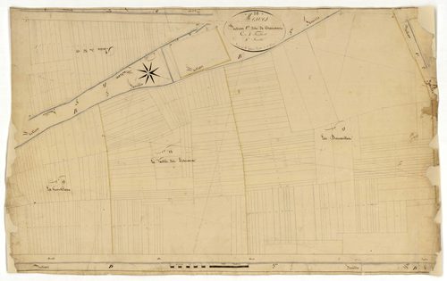 Mesves-sur-Loire, cadastre ancien : plan parcellaire de la section C dite de Charrant, feuille 4