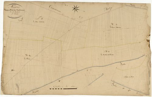 Mesves-sur-Loire, cadastre ancien : plan parcellaire de la section B dite des Moulins à Vent, feuille 5