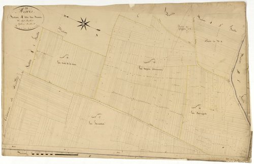 Mesves-sur-Loire, cadastre ancien : plan parcellaire de la section A dite des Brosses, feuille 7