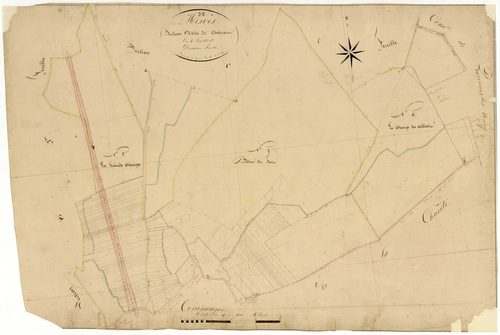 Mesves-sur-Loire, cadastre ancien : plan parcellaire de la section C dite de Charrant, feuille 2