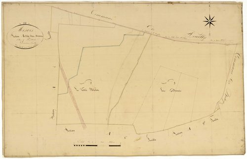 Mesves-sur-Loire, cadastre ancien : plan parcellaire de la section A dite des Brosses, feuille 2