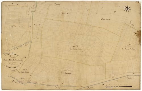 Mesves-sur-Loire, cadastre ancien : plan parcellaire de la section B dite des Moulins à Vent, feuille 4