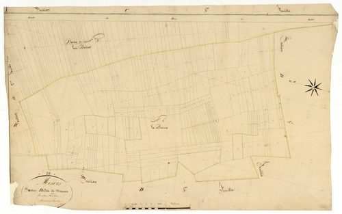 Mesves-sur-Loire, cadastre ancien : plan parcellaire de la section D dite de Mouron, feuille 3