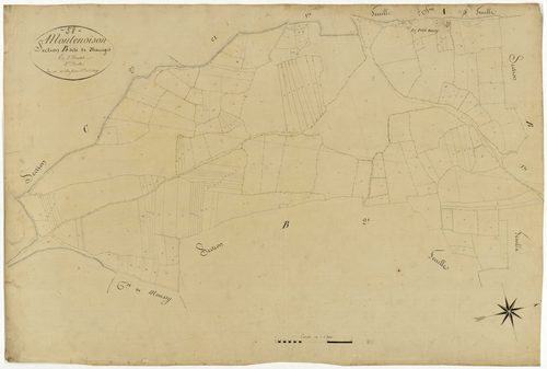 Montenoison, cadastre ancien : plan parcellaire de la section B dite de Marciges, feuille 3