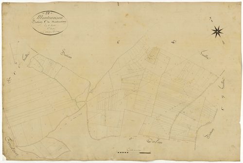 Montenoison, cadastre ancien : plan parcellaire de la section C dite de Montenoison, feuille 5