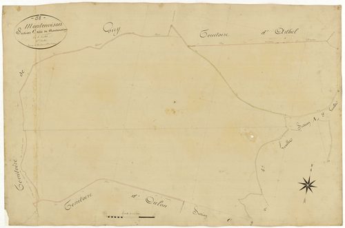 Montenoison, cadastre ancien : plan parcellaire de la section C dite de Montenoison, feuille 6