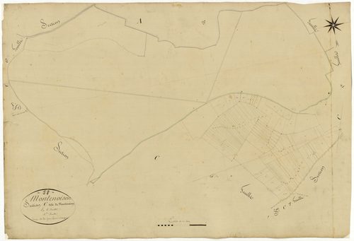 Montenoison, cadastre ancien : plan parcellaire de la section C dite de Montenoison, feuille 4