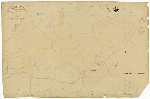 Montenoison, cadastre ancien : plan parcellaire de la section C dite de Montenoison, feuille 2
