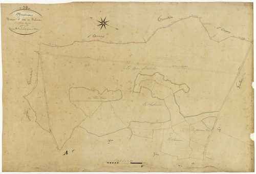 Mont-et-Marré, cadastre ancien : plan parcellaire de la section C dite du Balais, feuille 1