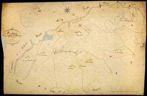 Montigny-en-Morvan, cadastre ancien : plan parcellaire de la section D dite du Charnoy , feuille 1