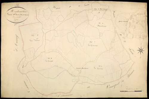 Montreuillon, cadastre ancien : plan parcellaire de la section D dite de Mont-Chanson, feuille 2