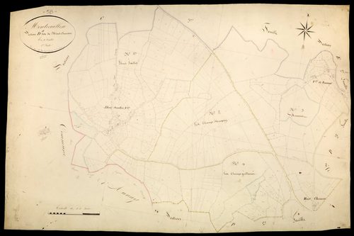 Montreuillon, cadastre ancien : plan parcellaire de la section D dite de Mont-Chanson, feuille 1