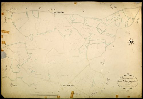 Montsauche-les-Settons, cadastre ancien : plan parcellaire de la section C dite de Champ-Gazon, feuille 5