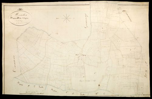 Moraches, cadastre ancien : plan parcellaire de la section D dite d'Agriez