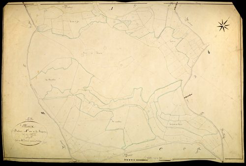 Moux-en-Morvan, cadastre ancien : plan parcellaire de la section A dite de la Fragnot, feuille 5