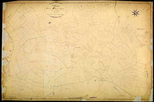Moux-en-Morvan, cadastre ancien : plan parcellaire de la section D dite de Chassagne, feuille 2