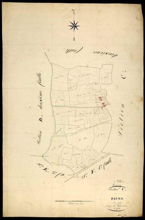 Narcy, cadastre ancien : plan parcellaire de la section C dite des Brins, feuille 1