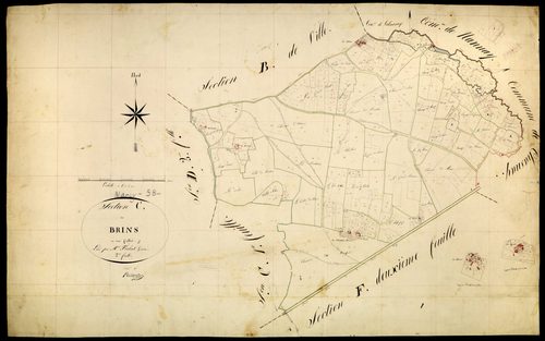 Narcy, cadastre ancien : plan parcellaire de la section C dite des Brins, feuille 2