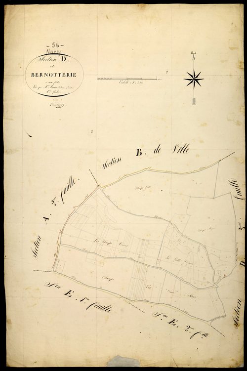 Narcy, cadastre ancien : plan parcellaire de la section D dite de la Bernotterie, feuille 1