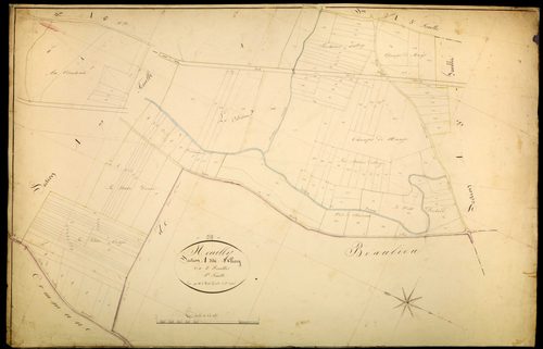 Neuilly, cadastre ancien : plan parcellaire de la section A dite d'Olcy, feuille 8