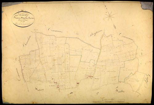 Neuilly, cadastre ancien : plan parcellaire de la section D dite des Bordes, feuille 2