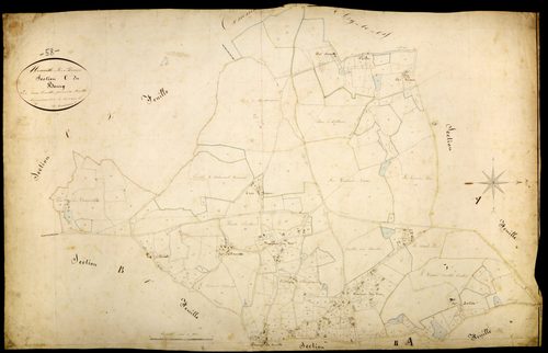 Neuville-lès-Decize, cadastre ancien : plan parcellaire de la section C dite du Bourg, feuille 1