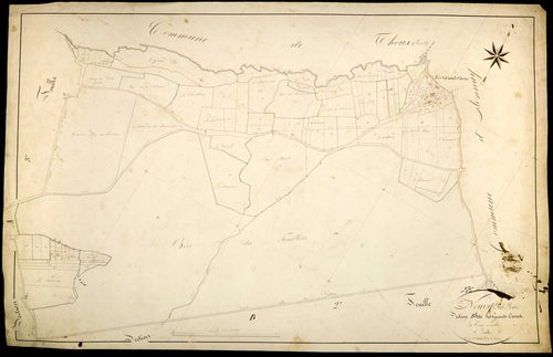 Neuvy-sur-Loire, cadastre ancien : plan parcellaire de la section B dite des Grands Cocus, feuille 1