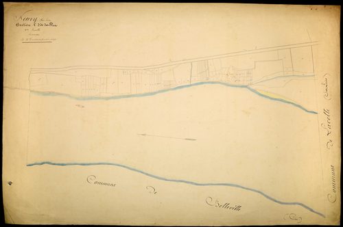 Neuvy-sur-Loire, cadastre ancien : plan parcellaire de la section C dite des Pelus, feuille 3, annexe 1