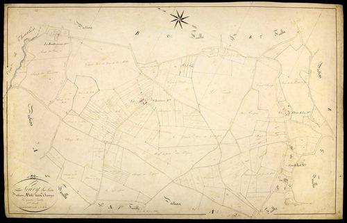 Neuvy-sur-Loire, cadastre ancien : plan parcellaire de la section A dite des Grands Champs, feuille 3