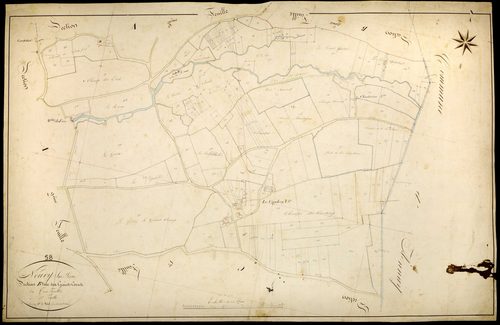 Neuvy-sur-Loire, cadastre ancien : plan parcellaire de la section B dite des Grands Cocus, feuille 3