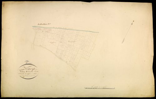 Neuvy-sur-Loire, cadastre ancien : plan parcellaire de la section A dite des Grands Champs, feuille 1, développement