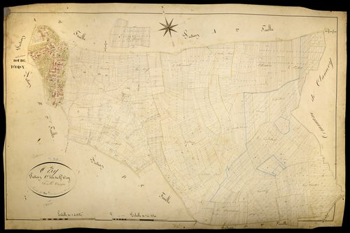 Oisy, cadastre ancien : plan parcellaire de la section C dite du Grand Oisy