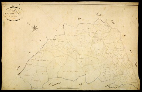 Onlay, cadastre ancien : plan parcellaire de la section D dite de Brion, feuille 3