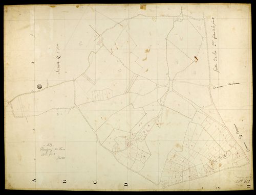 Parigny-les-Vaux, cadastre ancien : plan parcellaire de la section P, feuille 1